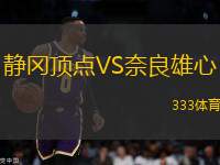 靜岡頂點VS奈良雄心