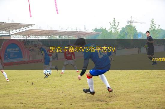 黑森卡塞爾VS格平杰SV