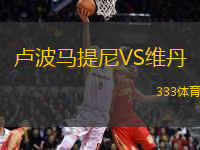 盧波馬提尼VS維丹