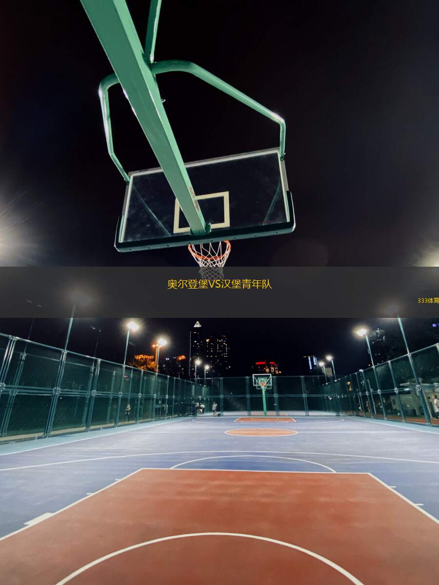 奧爾登堡VS漢堡青年隊