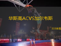 華斯高ACVS加爾韋斯