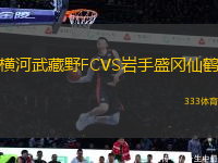 橫河武藏野FCVS巖手盛岡仙鶴