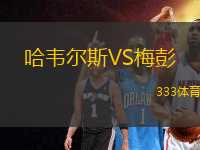 哈韋爾斯VS梅彭