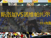 斯洛加VS諾維帕扎爾