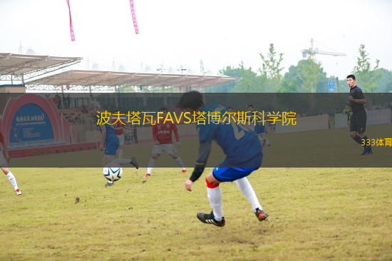 波夫塔瓦FAVS塔博爾斯科學院