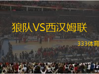 狼隊(duì)VS西漢姆聯(lián)