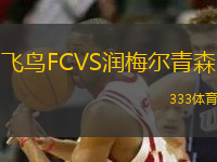 飛鳥FCVS潤(rùn)梅爾青森