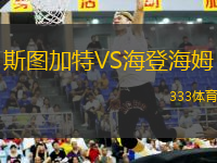斯圖加特VS海登海姆
