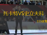 托卡特VS史立夫科