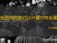桃園領(lǐng)航猿VS比什雷爾特金屬