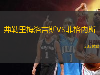 弗勒里梅洛吉斯VS菲格內(nèi)斯