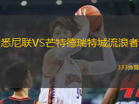 悉尼聯(lián)VS芒特德瑞特城流浪者