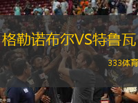 格勒諾布爾VS特魯瓦
