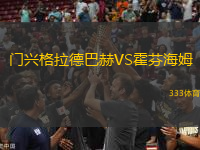 門興格拉德巴赫VS霍芬海姆