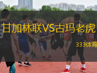 甘加林聯(lián)VS古瑪老虎