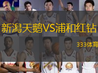 新潟天鵝VS浦和紅鉆