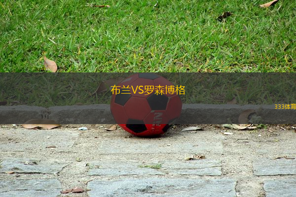 布蘭VS羅森博格