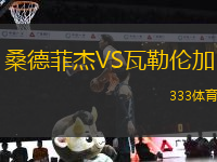 桑德菲杰VS瓦勒倫加
