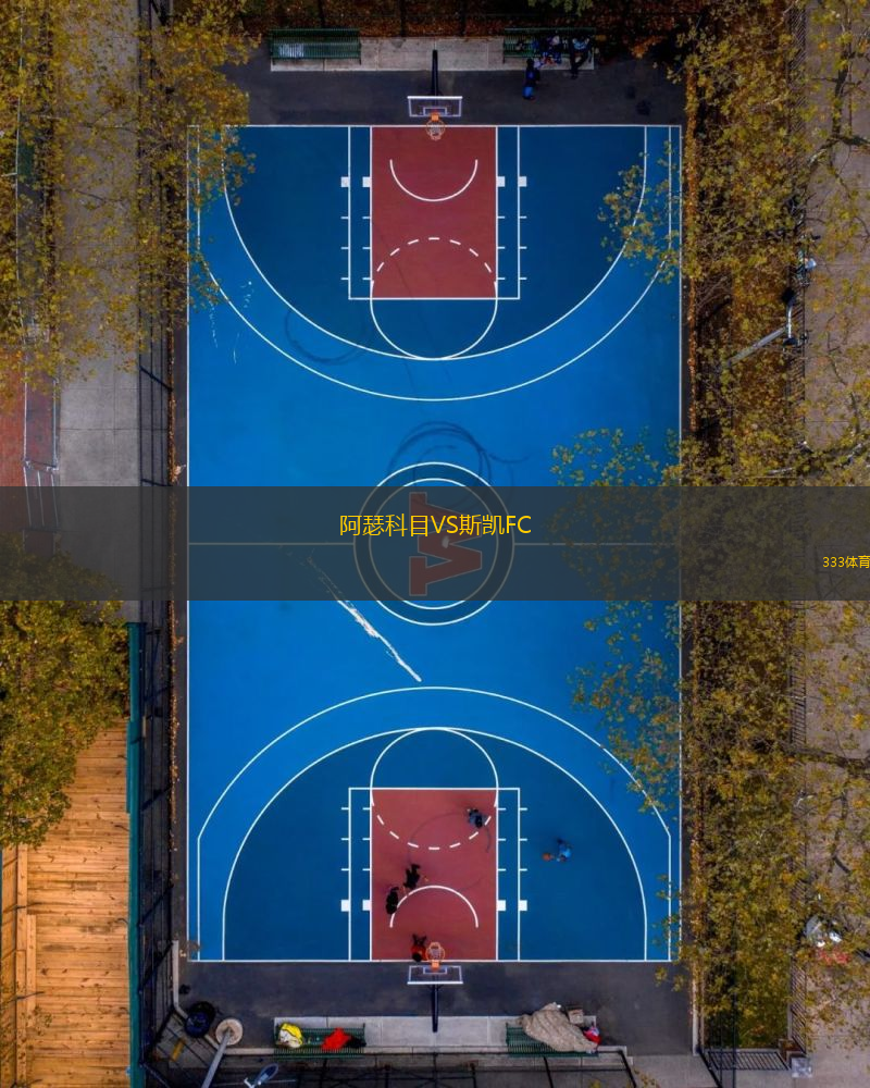 阿瑟科目VS斯凱FC