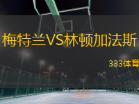 梅特蘭VS林頓加法斯