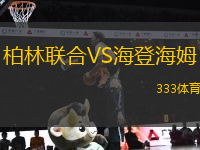 柏林聯(lián)合VS海登海姆