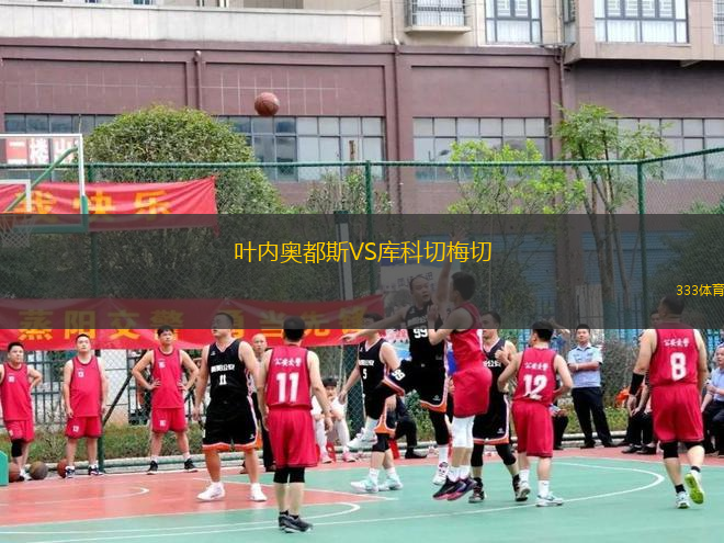 葉內(nèi)奧都斯VS庫科切梅切